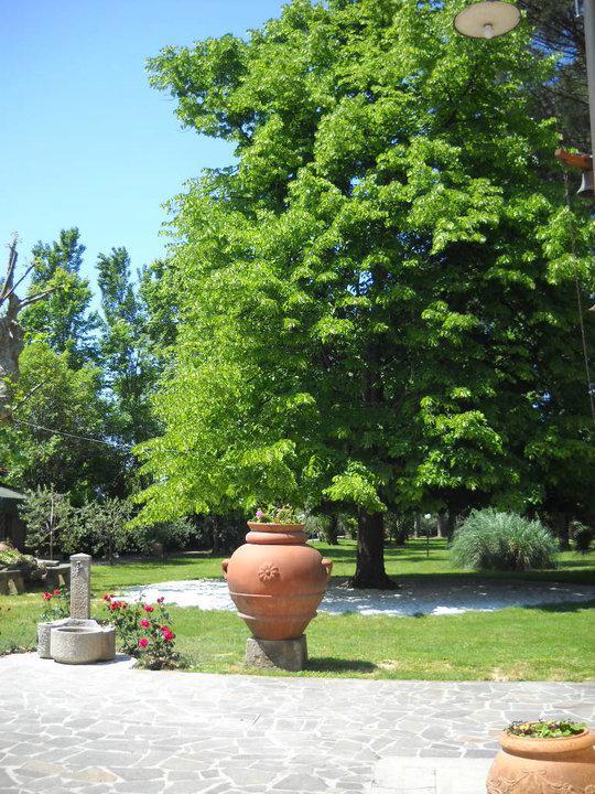 Maya 3* Cascina